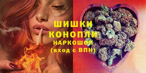амф Алексин
