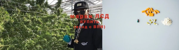 амф Алексин
