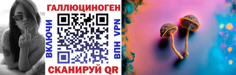 дарнет шоп  Джанкой  Псилоцибиновые грибы Magic Shrooms 