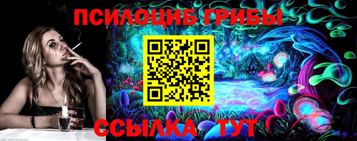 Псилоцибиновые грибы Cubensis Джанкой