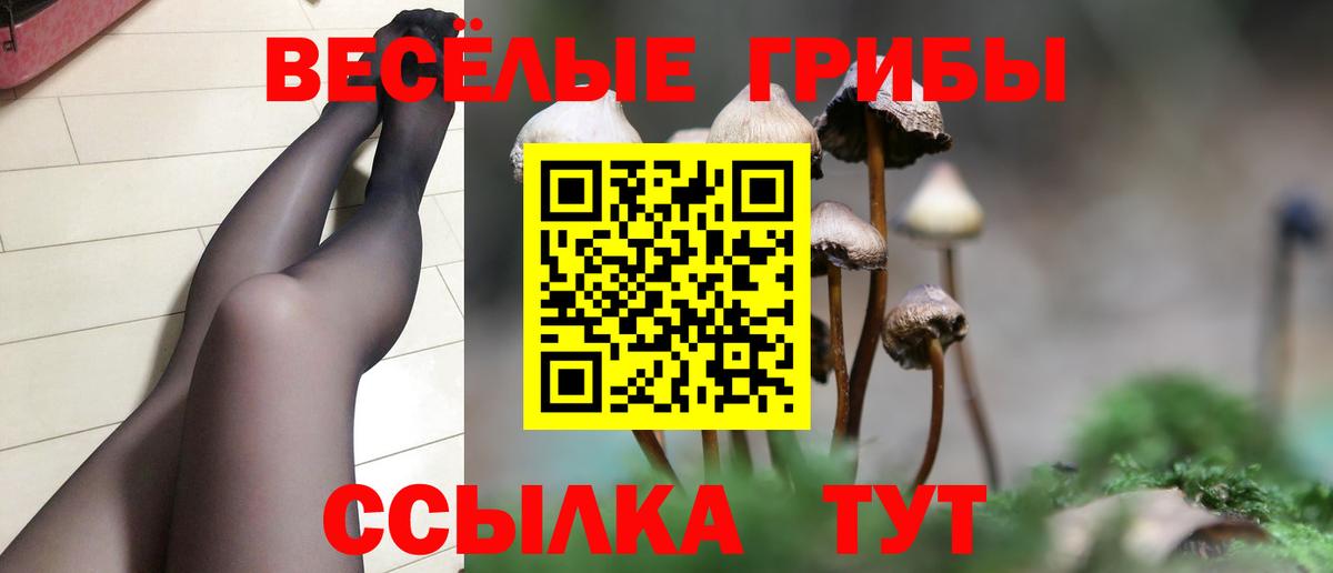 Псилоцибиновые грибы GOLDEN TEACHER  Псилоцибиновые грибы мухоморы  Джанкой  Вход с VPN 